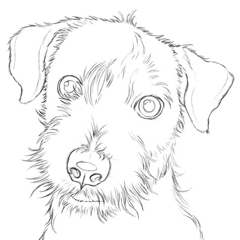 dog outline illustration|dog outline drawing realistic.